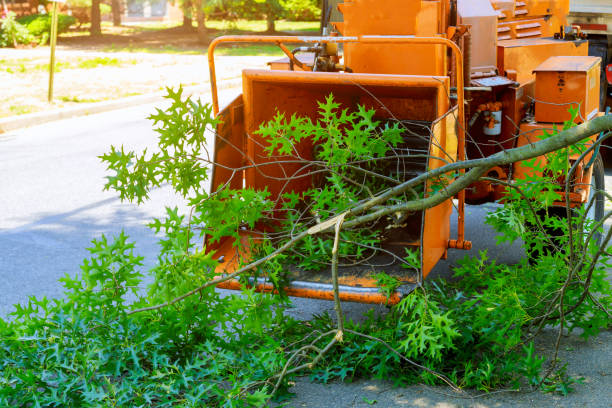 Lawn Irrigation Installation and Maintenance in Verona, VA